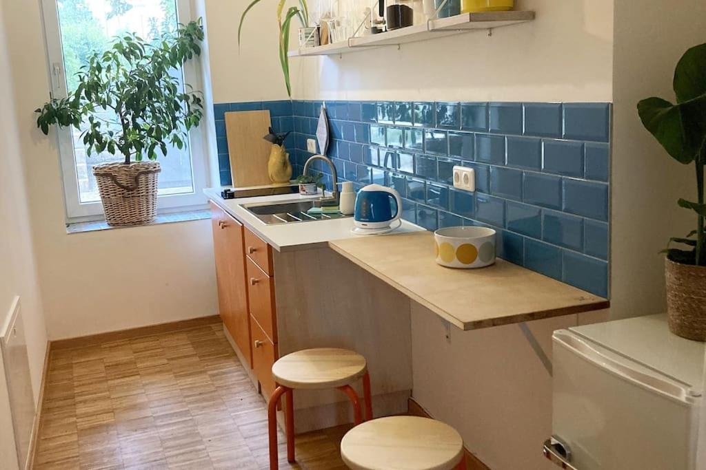 Little Fine Apartment Close To Leipzig ツァイツ エクステリア 写真