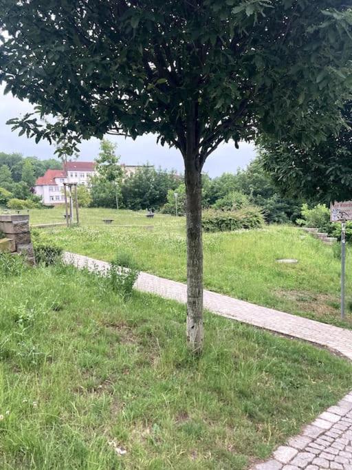 Little Fine Apartment Close To Leipzig ツァイツ エクステリア 写真